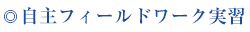 自主フィールドワーク実習