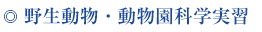 野生動物・動物園科学実習