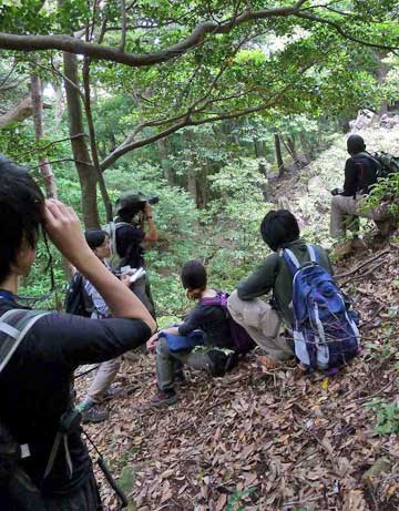 屋久島にて観察中