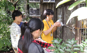 高大連携プロジェクト 動物園での継続観察